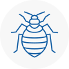 Bed Bug Extermination In Milton Keynes