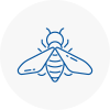 Bee Nest Removal Milton Keynes