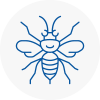 Milton Keynes Hornet Nest Removals
