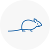Mice Exterminators In Milton Keynes