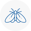 Moth Control Specialists In Milton Keynes