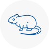 Rat Control Milton Keynes