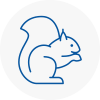 Milton Keynes Rodent Removals