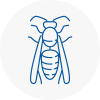 Milton Keynes Wasp Nest Removal